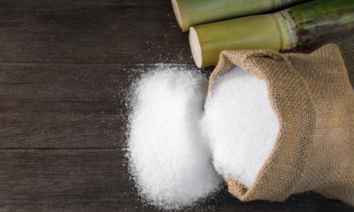 Giá đường trong nước sẽ giảm tiếp trong năm 2024, triển vọng nào cho cổ phiếu ngành này?