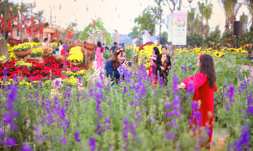 Trải nghiệm không khí Tết tại đường hoa Home Hanoi Xuan 2024