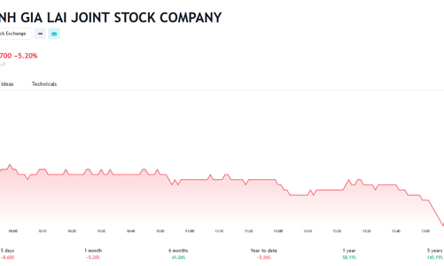Con gái Chủ tịch HAG bán thành công 2 triệu cổ phiếu