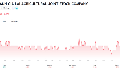 Cổ đông HNG thông qua việc đầu tư hơn 18.000 tỷ đồng cho dự án tại Lào và lợi nhuận dự kiến 2.450 tỷ đồng/năm