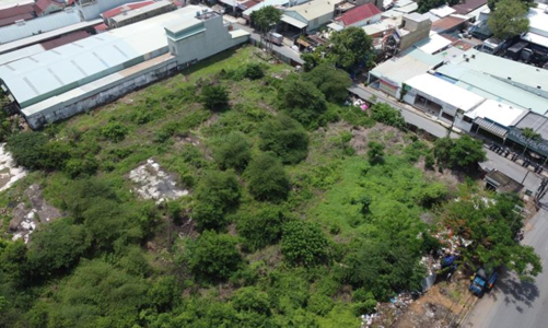 Đồng Nai: Dự kiến đấu giá 17 khu “đất vàng” năm 2024