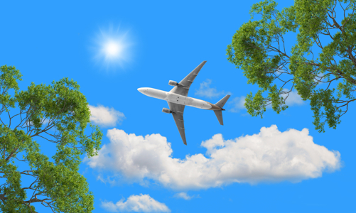 Hàng không toàn cầu trong vùng 