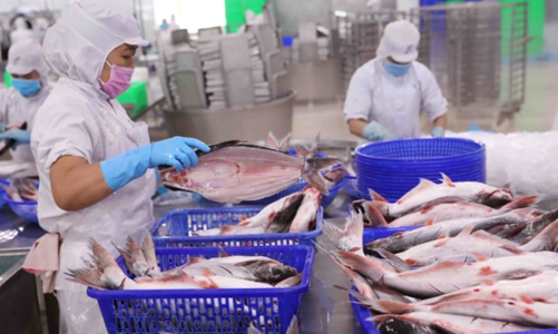 Bộ Tài chính trả lời 3 vấn đề phản ánh, kiến nghị của doanh nghiệp thủy sản