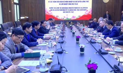 Việt Nam và Italia tăng cường hợp tác thúc đẩy thương mại nông sản