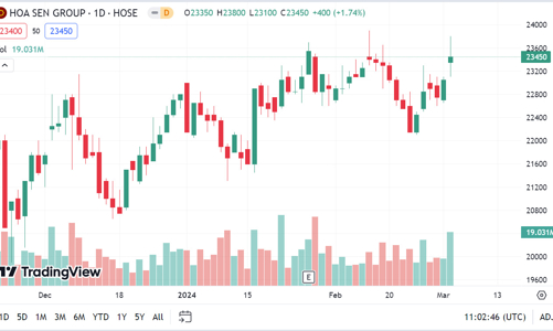 Phó Chủ tịch HSG tiếp tục không bán được 1,5 triệu cổ phiếu như đăng ký