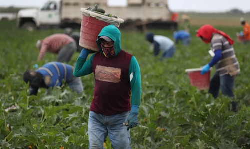 Các nước phát triển ngày càng 