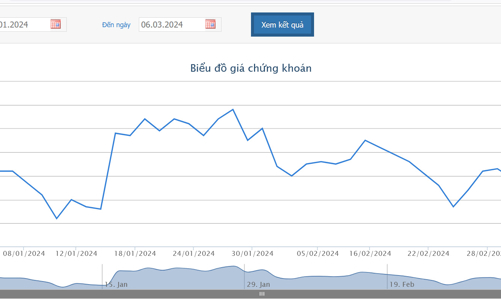 SMC bán thành công hơn 13,1 triệu cổ phiếu của NKG