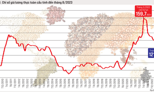 Thương mại toàn cầu năm 2023 và triển vọng năm 2024 