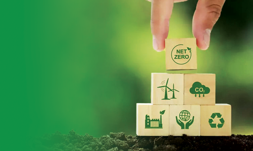 Lựa chọn quy mô phù hợp để vận hành thí điểm thị trường carbon