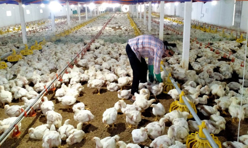 VCCI: Danh mục cơ sở kiểm kê khí nhà kính chưa thống nhất