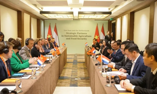 Việt Nam - Hà Lan hợp tác chuyển đổi ngành nông nghiệp bền vững
