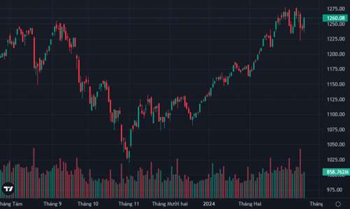 Găm hàng T+, thị trường lợi đà tăng bùng nổ