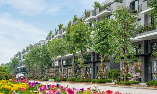 Bất ngờ với tiến độ bàn giao, không gian sống như nghỉ dưỡng tại Eco Central Park