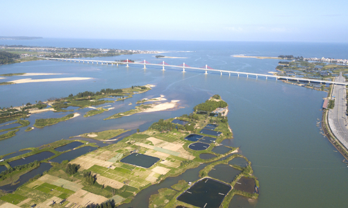 Quảng Ngãi có 84 khu dân cư và đô thị đang triển khai