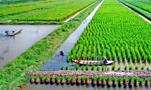 Các quỹ đầu tư hỗ trợ 600 triệu USD thúc đẩy nông nghiệp thuận thiên