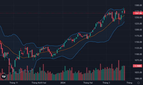 Áp lực bán tăng vọt trở lại, thị trường chìm trong sắc đỏ