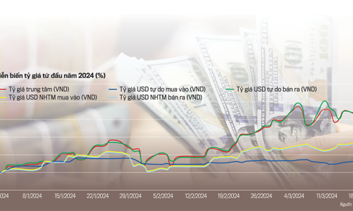 Tỷ giá và diễn biến của những yếu tố tác động