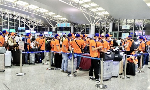 Việt Nam chưa cấp phép cho lao động sang Hàn Quốc làm việc trong ngành dịch vụ 