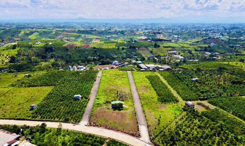 Lâm Đồng có 4.143 giao dịch bất động sản trong quý 1/2024