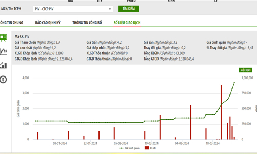Doanh thu thuần tăng hơn 27 lần, PIV phải giải trình cổ phiếu tăng trần liên tục