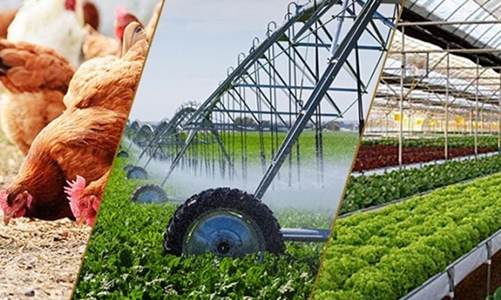 Sản xuất nông nghiệp quý 1/2024 tăng trưởng ổn định