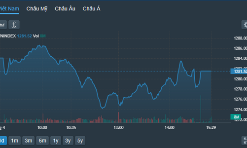 Vốn nội gắng sức đỡ, thị trường giảm nhẹ