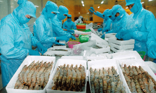 Hoa Kỳ áp thuế chống trợ cấp sơ bộ 2,84% đối với tôm nước ấm đông lạnh từ Việt Nam