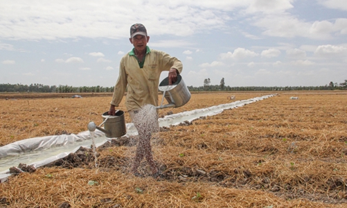 Thủ tướng yêu cầu tăng cường phòng chống nắng nóng, hạn hán, thiếu nước, xâm nhập mặn