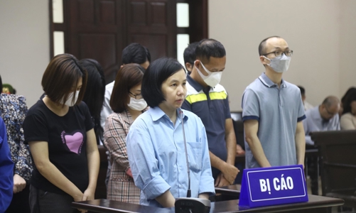 Vụ “siêu lừa” 433 tỷ đồng: Vì sao có quyết định tạm hoãn phiên tòa? 