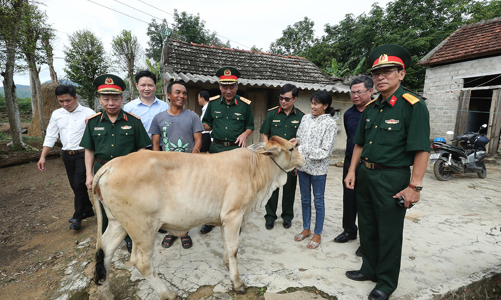 Quan tâm hỗ trợ sinh kế cho nạn nhân bom mìn 