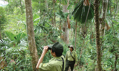 Bán tín chỉ carbon: Tiềm năng lớn của ngành nông nghiệp