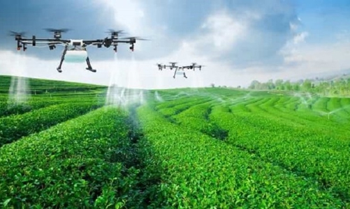 Sản xuất phân bón, thuốc bảo vệ thực vật chuyển đổi theo hướng xanh, giảm phát thải