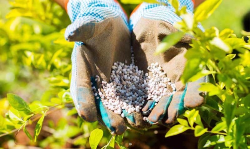 Hoa Kỳ hỗ trợ 4,4 triệu USD cho Dự án sử dụng phân bón đúng tại Việt Nam