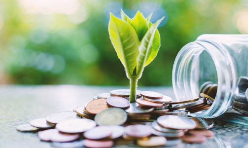 Hai “ông lớn” ngân hàng ngoại đang triển khai tài chính xanh tại Việt Nam như thế nào? 