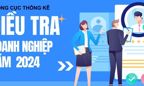 Bổ sung thông tin lao động nước ngoài trong Điều tra Doanh nghiệp 2024