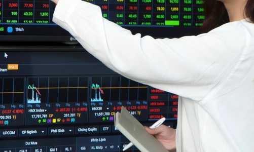 Chứng khoán Mirae Asset đưa ra 5 điều nhà đầu tư cần làm khi thị trường giảm liên tục 3 phiên