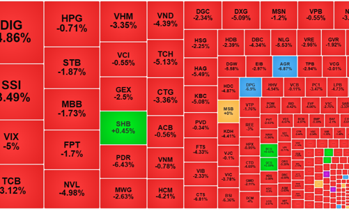 Bán tháo tăng vọt, VN-Index bốc hơi 1,93% xuống đáy 3 tháng