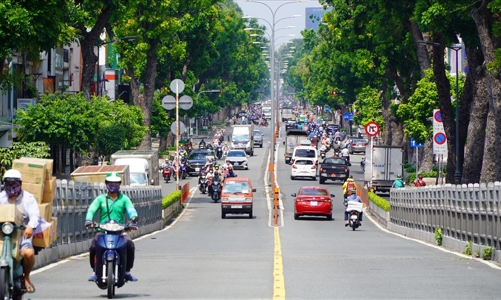 TP.HCM sắp di dời, đốn hạ hơn 450 cây xanh để làm metro số 2