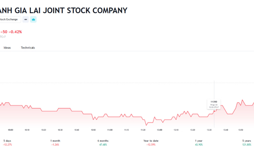 HAG chào bán thành công 1.300 tỷ cổ phiếu riêng lẻ