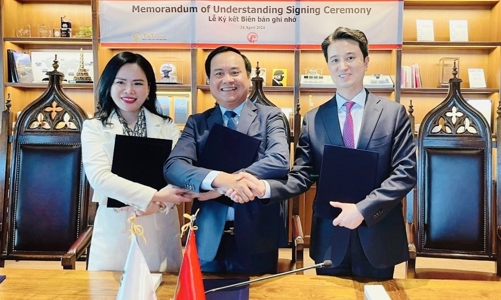 Tỉnh Quảng Trị và T&T Group hợp tác chuyển đổi năng lượng - tăng trưởng xanh với Tập đoàn SK 