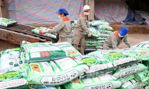 Lợi nhuận nhóm phân bón hóa chất bất ngờ tăng mạnh trong quý 1/2024, triển vọng nào cho cổ phiếu? 