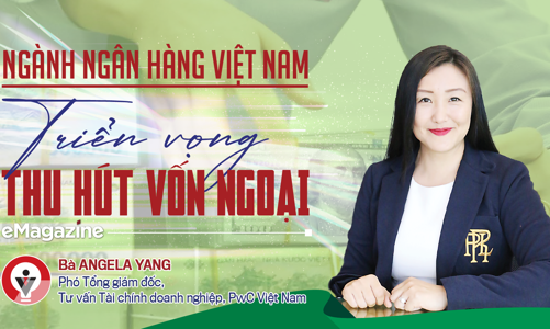 Ngành ngân hàng Việt Nam: Triển vọng thu hút vốn ngoại