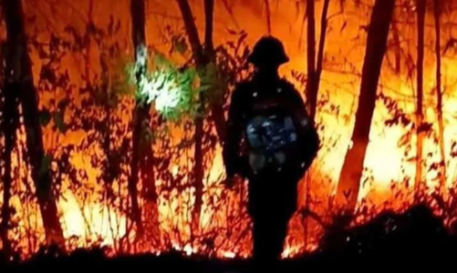 Thủ tướng chỉ đạo triển khai quyết liệt các biện pháp phòng, chống cháy rừng