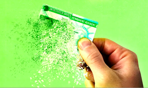 Nhiều công ty công nghệ lớn của Mỹ tạm ngừng xin thẻ xanh cho lao động nước ngoài