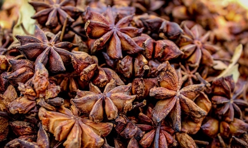 Nhiều dư địa cho hàng Việt Nam vào thị trường tiêu dùng Ấn Độ