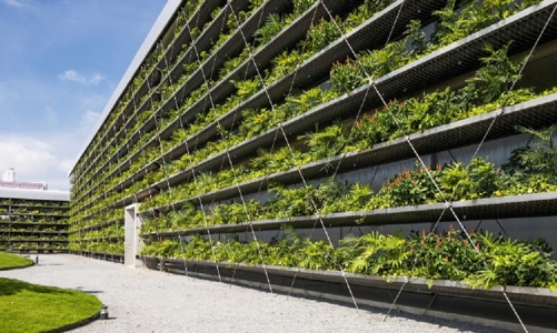 “Xanh hoá” ở các địa phương chưa đồng đều