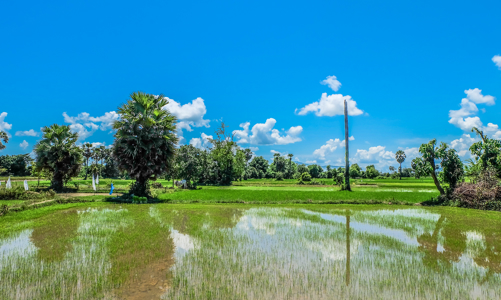 Xây dựng các tiêu chí môi trường, danh mục phân loại xanh ở Việt Nam