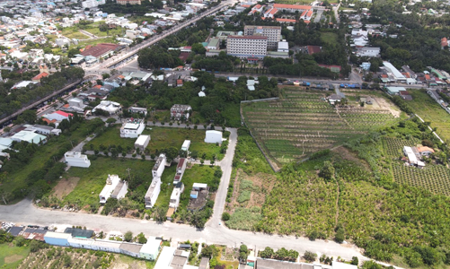 Long An đấu giá 366 lô đất