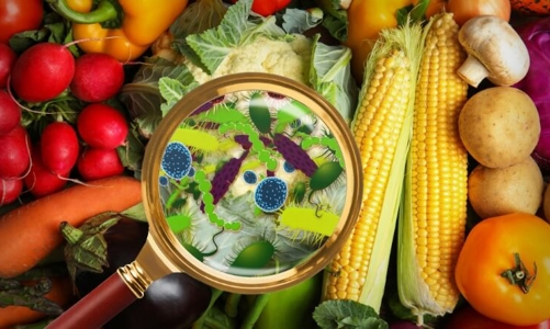 Sau hàng loạt vụ ngộ độc, Bộ Y tế đề nghị truy xuất nguồn gốc thực phẩm 