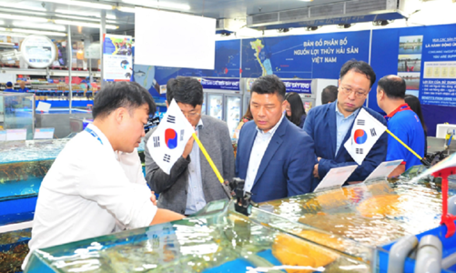 Hải sản Hàn Quốc, Nhật Bản “chen chân” vào thị trường Việt Nam
